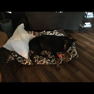 Meet your Posher, Karen